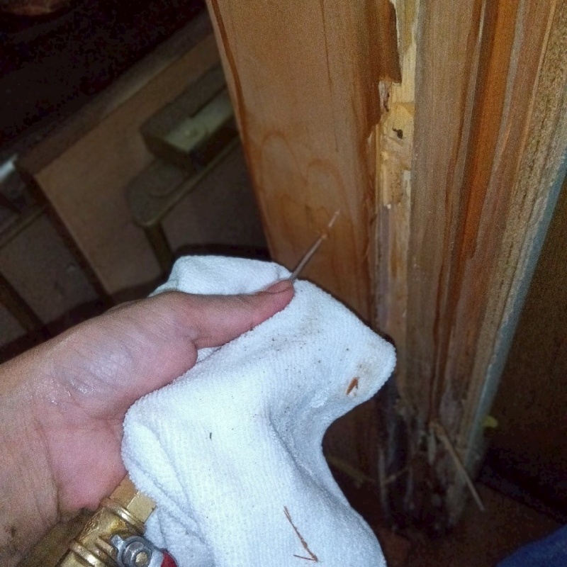 室内の柱にシロアリ駆除剤を注入