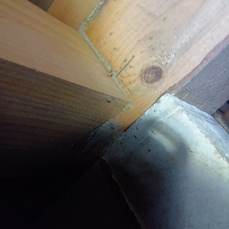 築年数30年のシロアリ駆除の施工事例（埼玉県さいたま市桜区西堀）