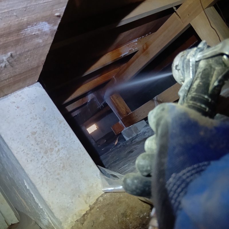 床下の木材にシロアリ駆除剤を散布