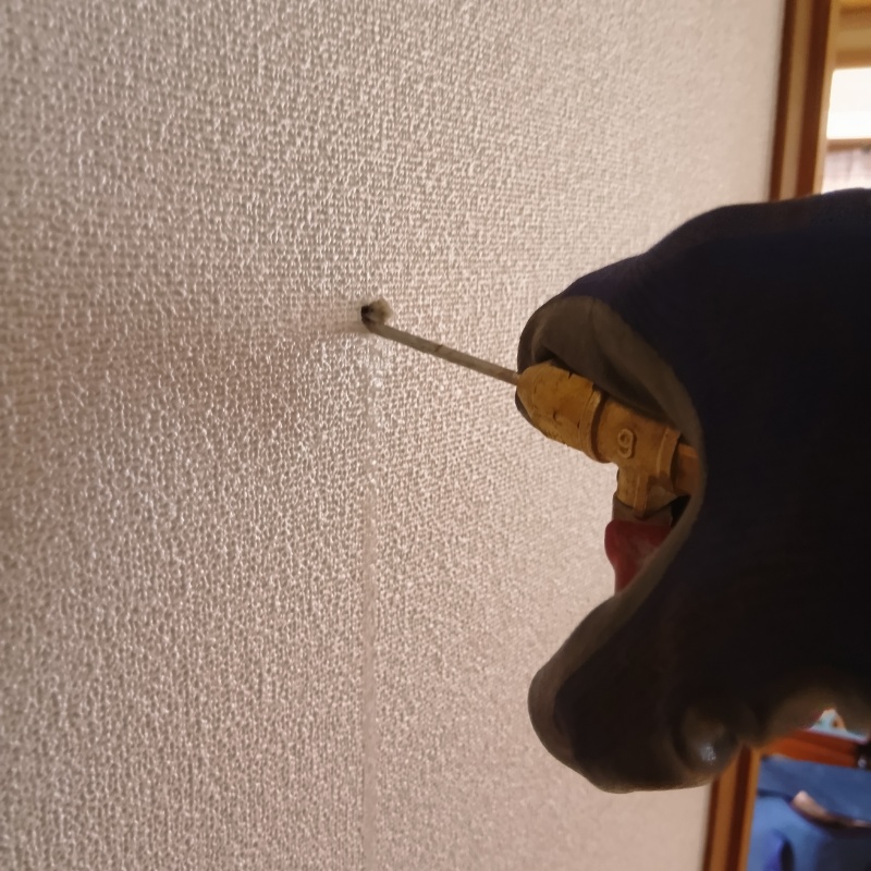 壁にシロアリ駆除剤を注入