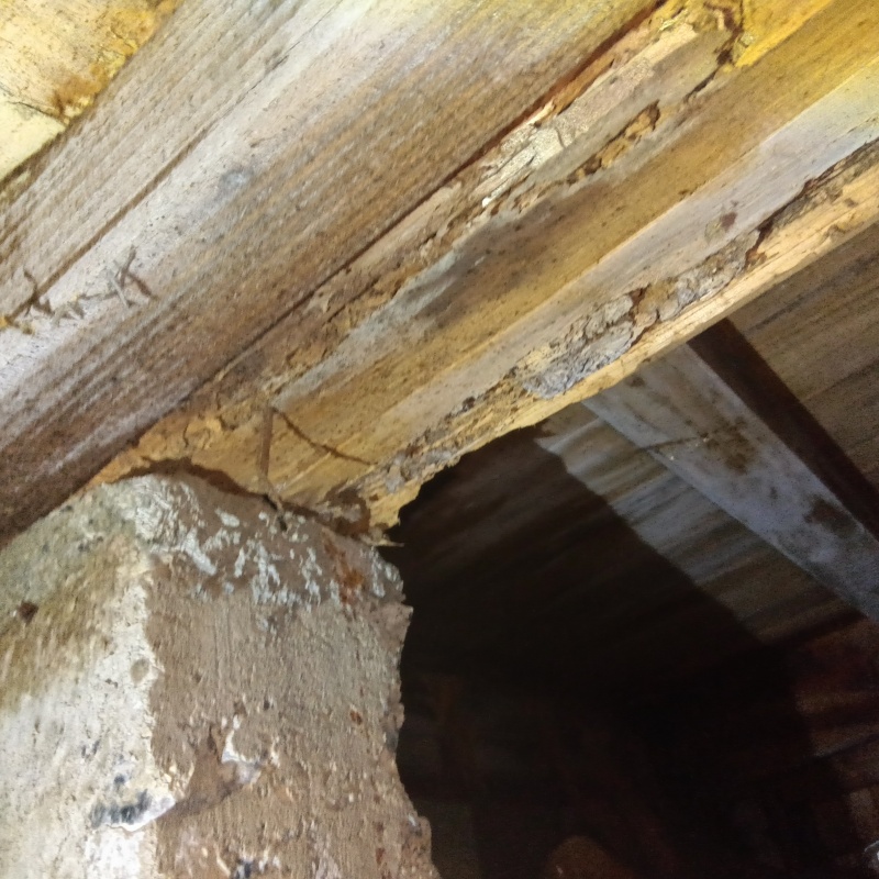 ボロボロになった木材