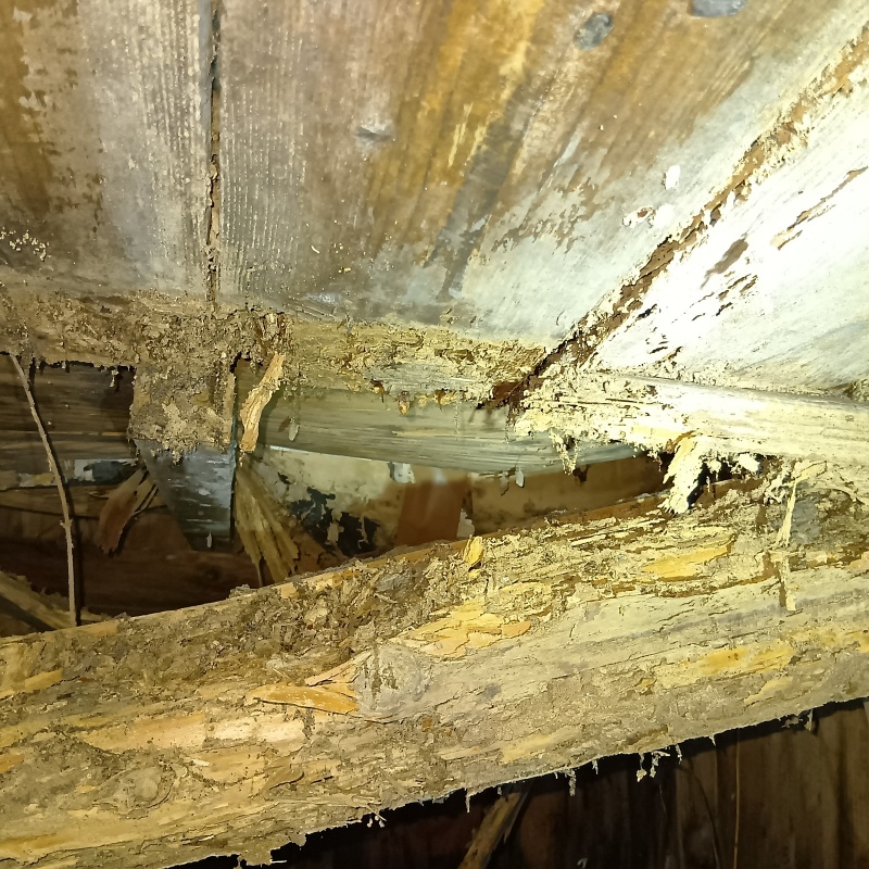 築年数100年のシロアリ駆除の施工事例（三重県熊野市紀和町和気）