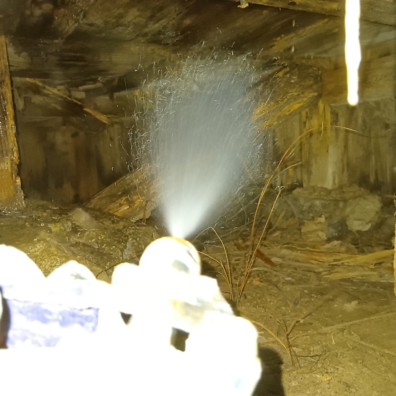 床下の木材にシロアリ駆除剤を散布