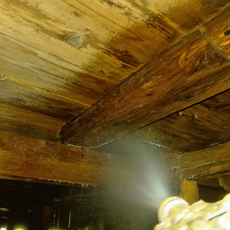 床下の木材にシロアリ駆除剤を散布