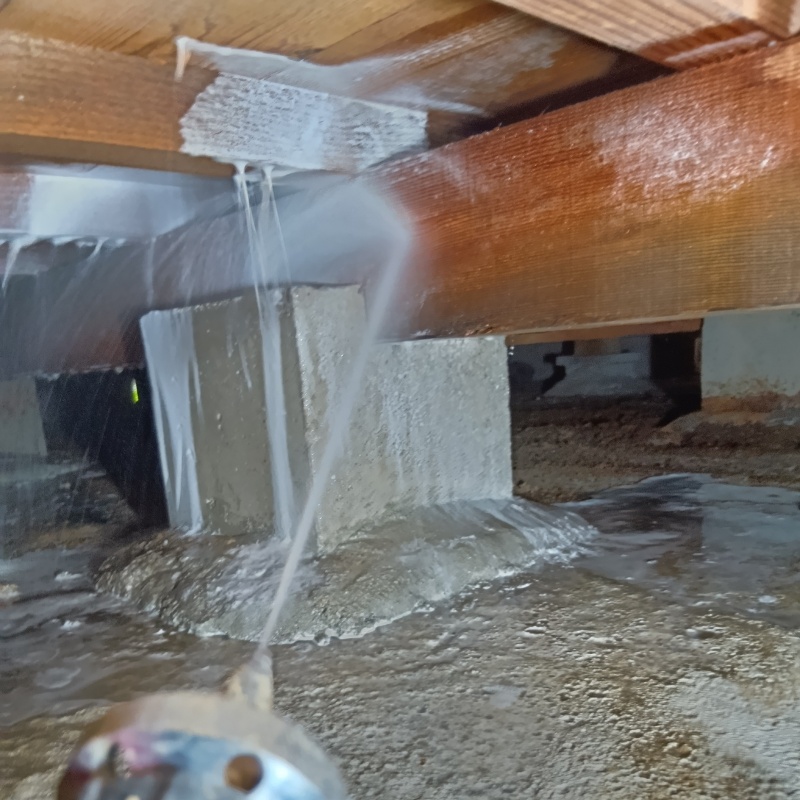 床下の木材にシロアリ駆除剤を散布する様子