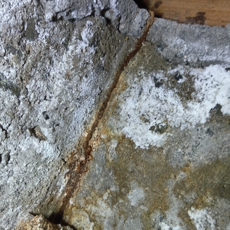 築年数30年のシロアリ駆除の施工事例（兵庫県赤穂市加里屋新町）