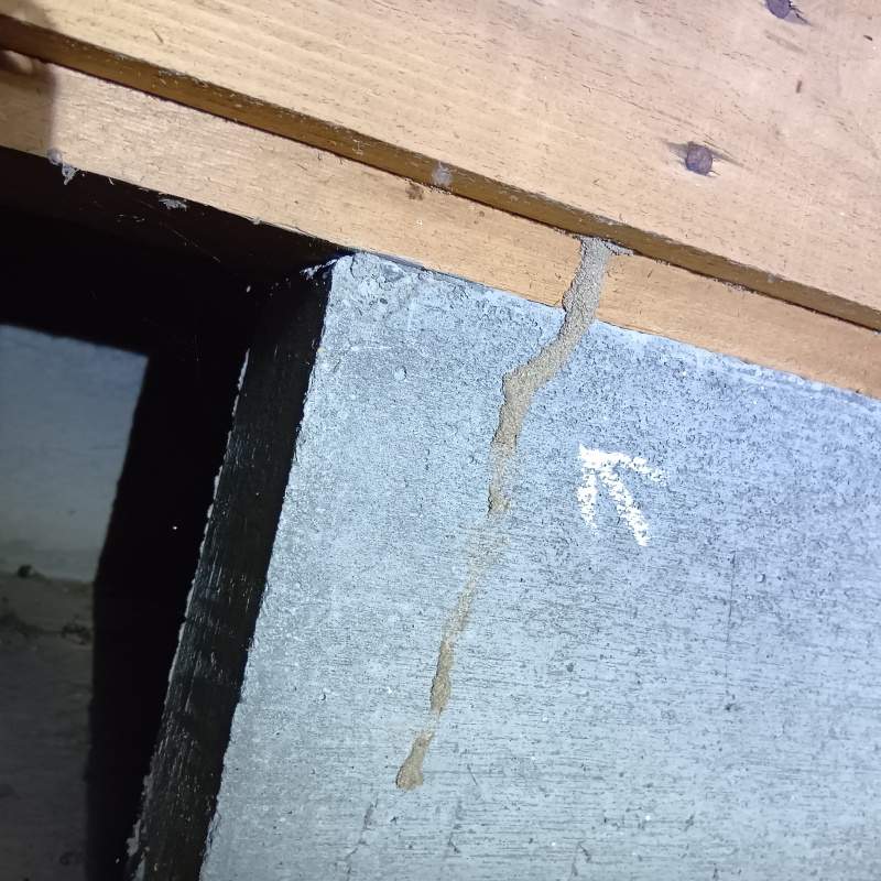 築年数25年のシロアリ駆除の施工事例（茨城県龍ケ崎市八代町）