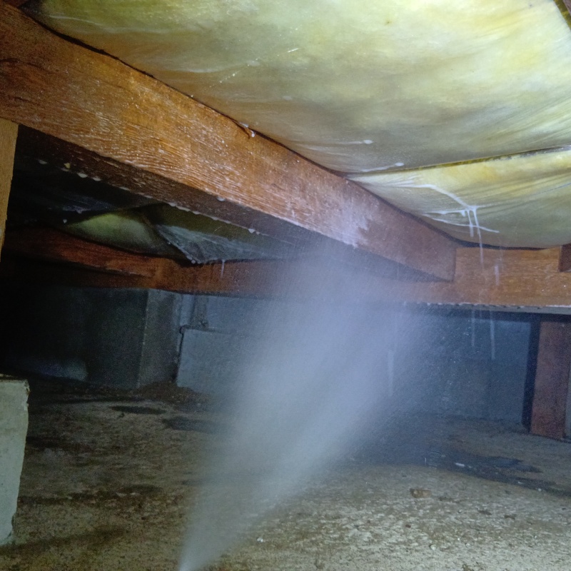 床下の木材にシロアリ駆除を散布した様子