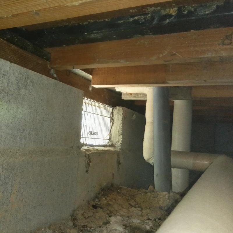 築年数44年のシロアリ駆除の施工事例（兵庫県三田市川除）