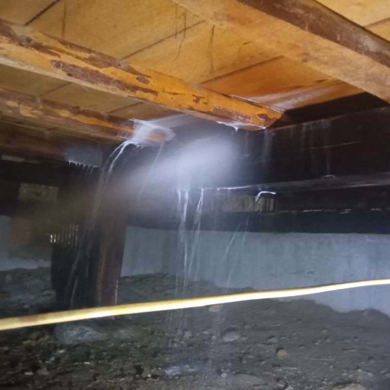 床下の木材にシロアリ駆除剤を散布する様子