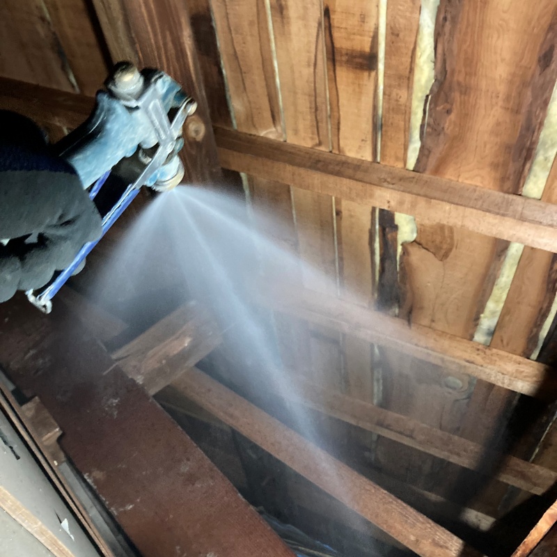 屋根裏にシロアリ駆除剤を散布