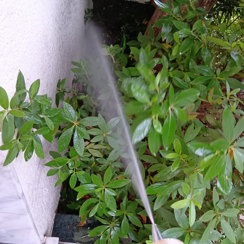 基礎まわりにシロアリ駆除剤を散布する様子