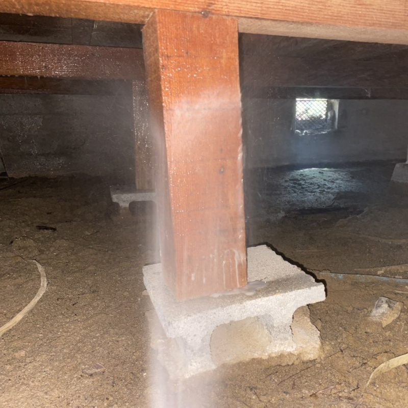 築年数66年のシロアリ駆除の施工事例（滋賀県蒲生郡日野町中在寺）