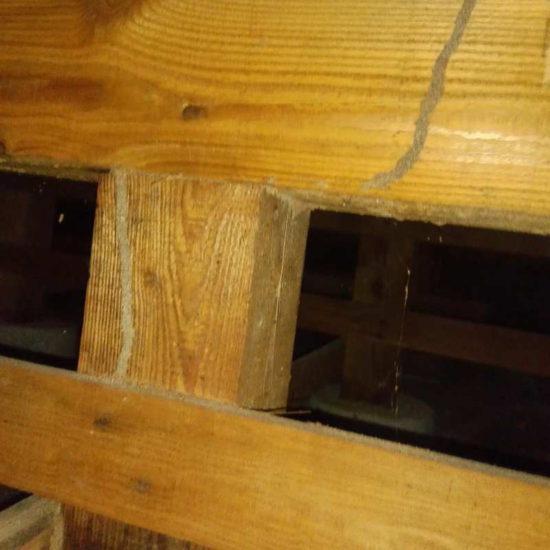 シロアリ駆除の施工事例（富山県滑川市常盤町）