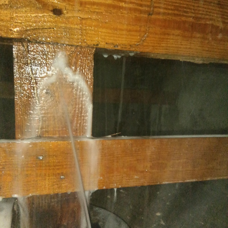 床下の木部にシロアリ駆除剤を散布