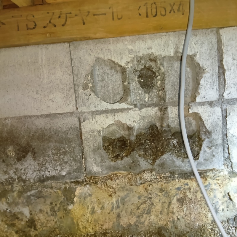 シロアリ駆除の施工事例（佐賀県小城市三日月町三ケ島）