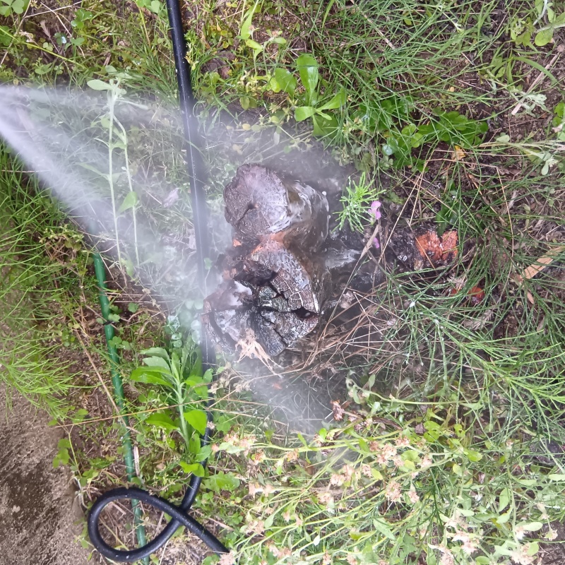 切り株にシロアリ駆除剤を散布