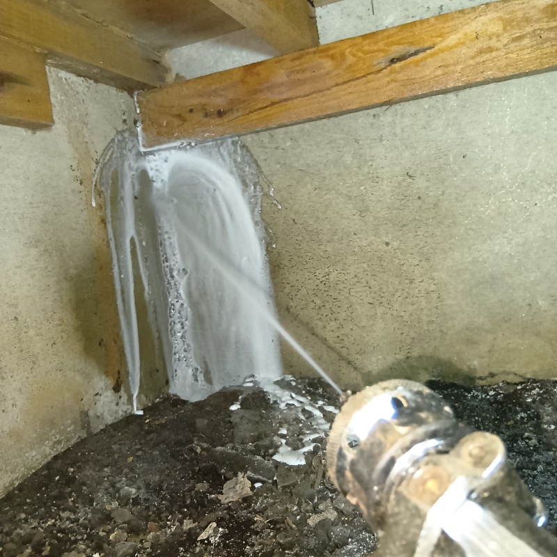 床下に作られた蟻道へシロアリ駆除剤を散布