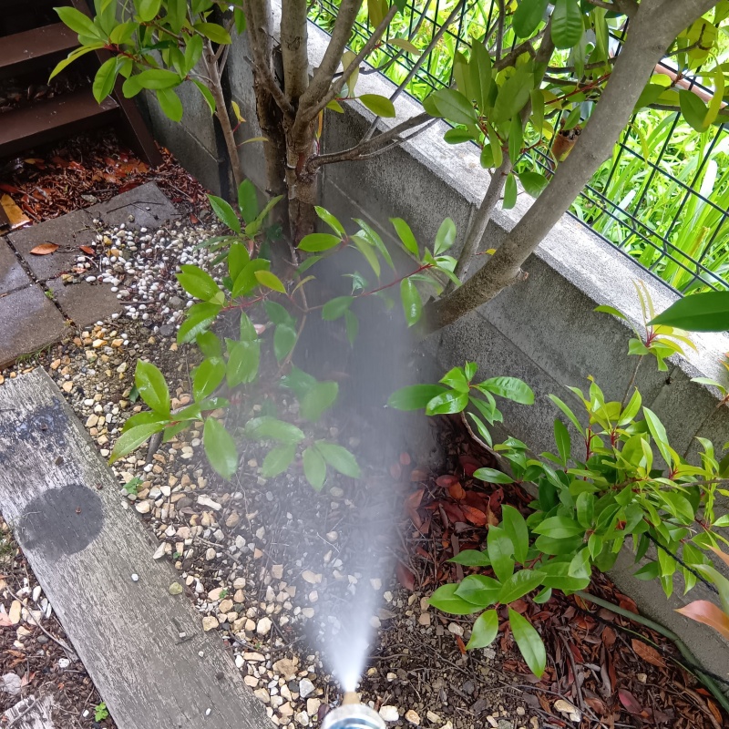 庭木にシロアリ駆除剤を散布