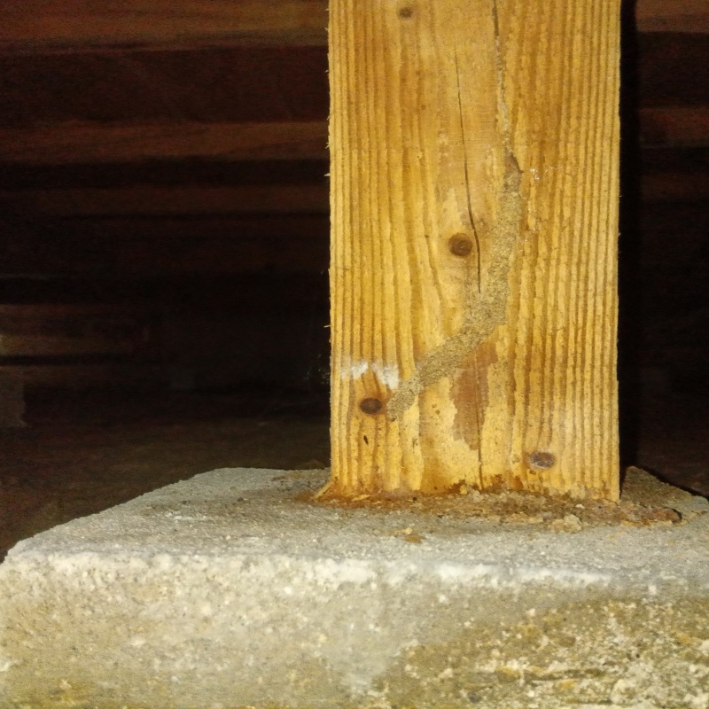 築年数48年のシロアリ駆除の施工事例（富山県射水市二口）