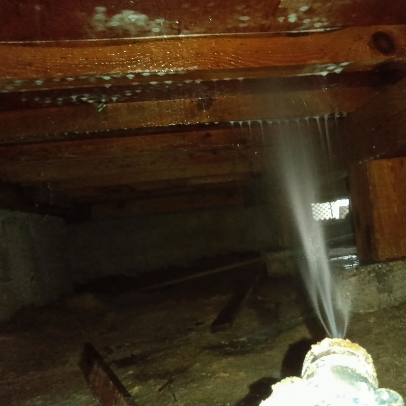 床下の木部にシロアリ駆除剤を散布