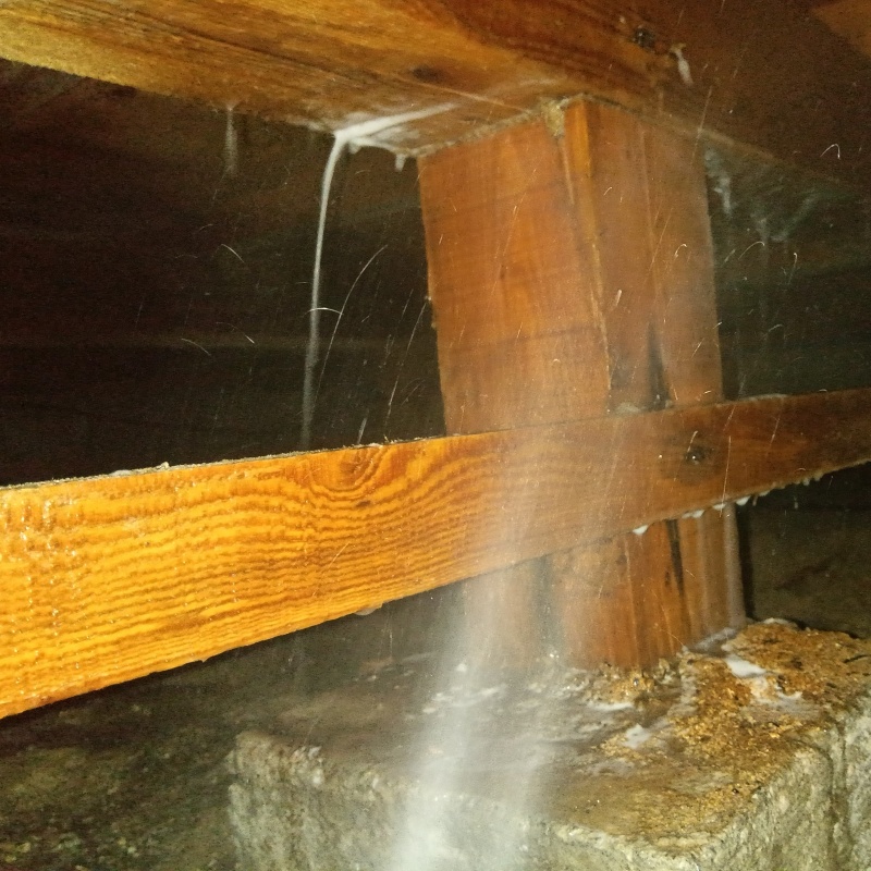 床下の木部にシロアリ駆除剤を散布