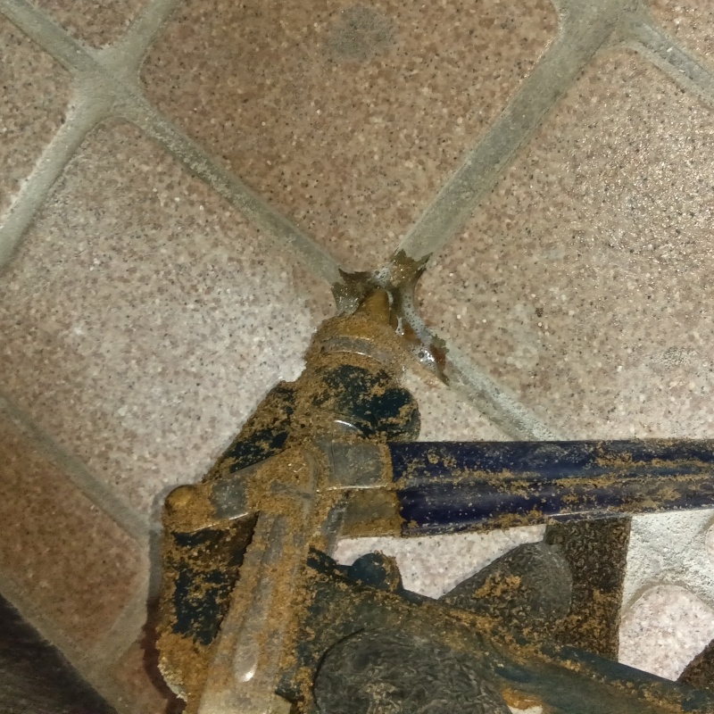 玄関の床にシロアリ駆除剤を注入