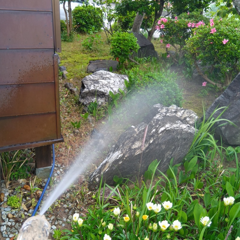 庭の草木にシロアリ駆除剤を散布