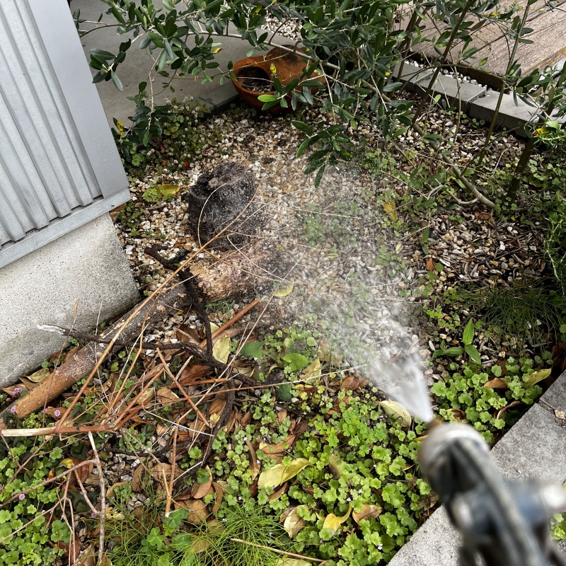 庭の土壌にシロアリ駆除剤を散布