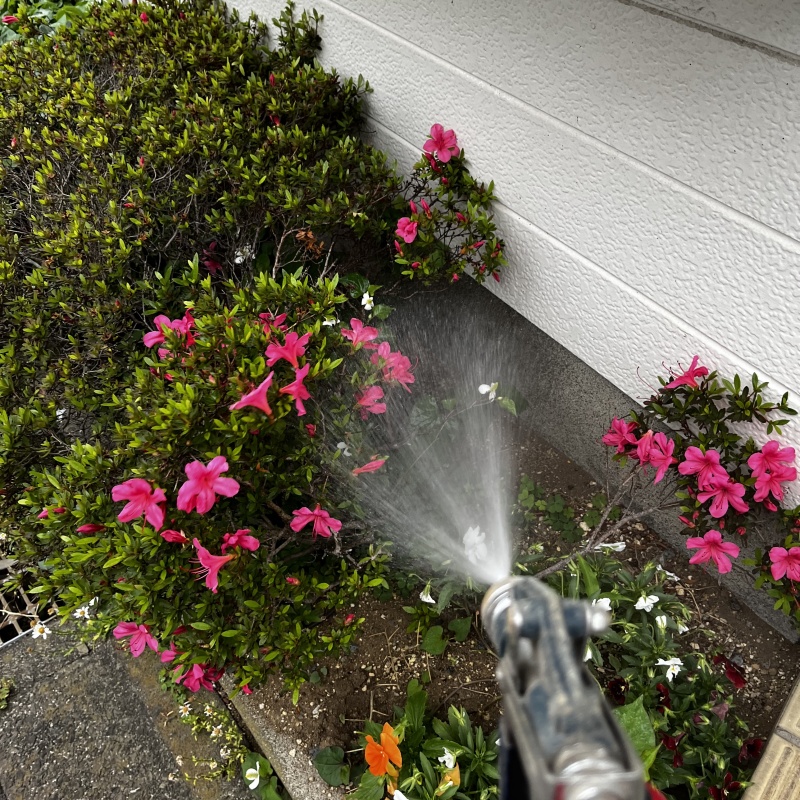 庭の花壇にシロアリ駆除剤を散布