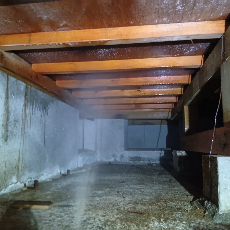 築年数25年のシロアリ駆除の施工事例（茨城県桜川市西小塙）