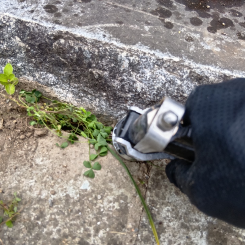 地面の亀裂にシロアリ駆除剤を注入
