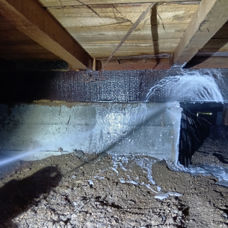 築年数40年のシロアリ駆除の施工事例（香川県高松市庵治町）