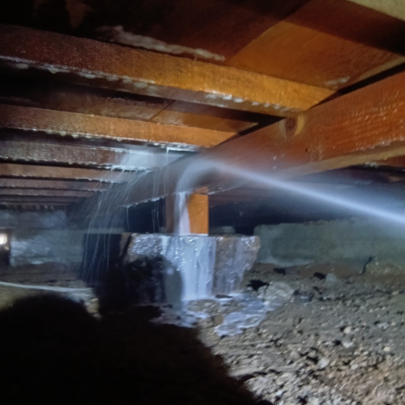 床下の木部にシロアリ駆除剤を散布