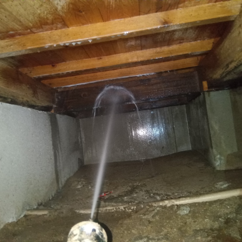 床下の木部にシロアリ駆除剤を散布