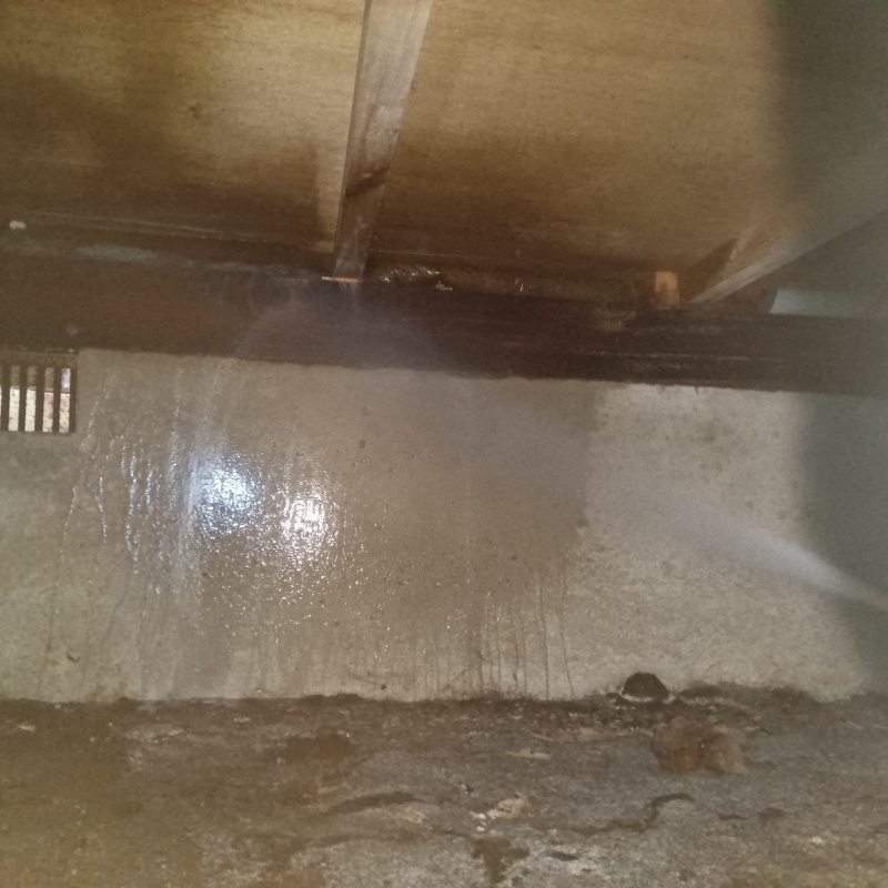 床下の土壌・基礎にシロアリ駆除剤を散布