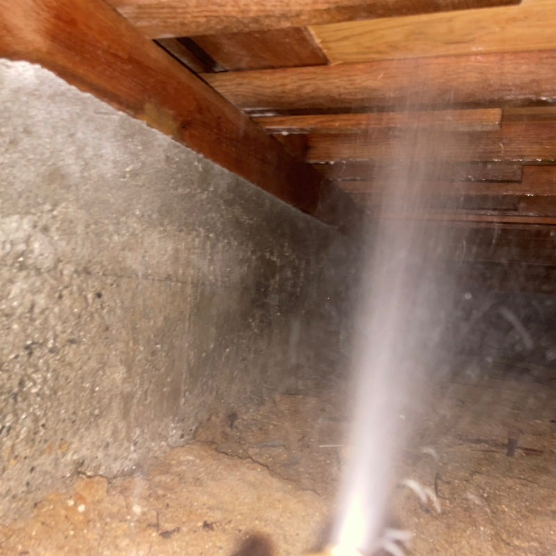 築年数53年のシロアリ駆除の施工事例（大阪府堺市北区金岡町）