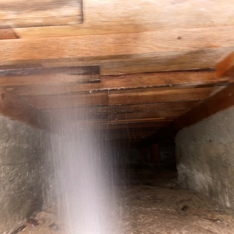 床下の木材にシロアリ駆除剤を散布