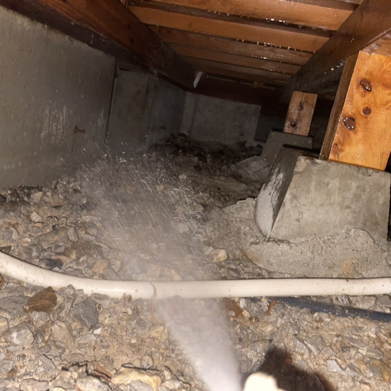 床下の土壌・基礎にシロアリ駆除剤を散布