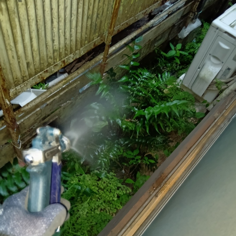 敷地内の地面にシロアリ駆除剤を散布