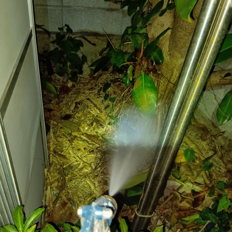 建物外周にシロアリ駆除剤を散布