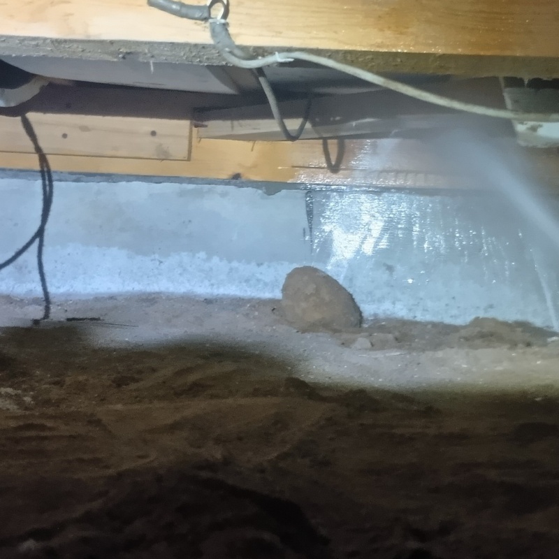 床下の基礎にシロアリ駆除剤を散布