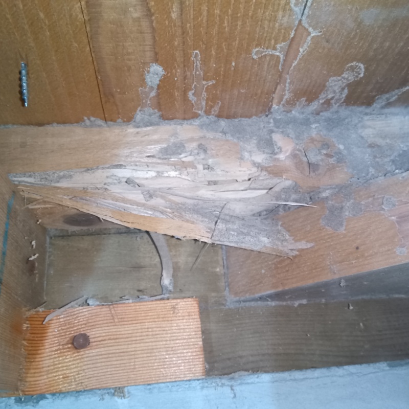 築年数20年のシロアリ駆除の施工事例（埼玉県越谷市蒲生寿町）