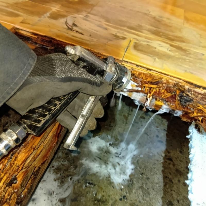 傷んだ木部にシロアリ駆除剤を散布