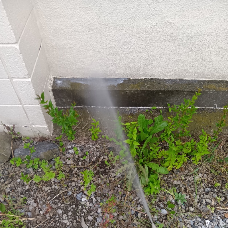 建物の外周にシロアリ駆除剤を散布