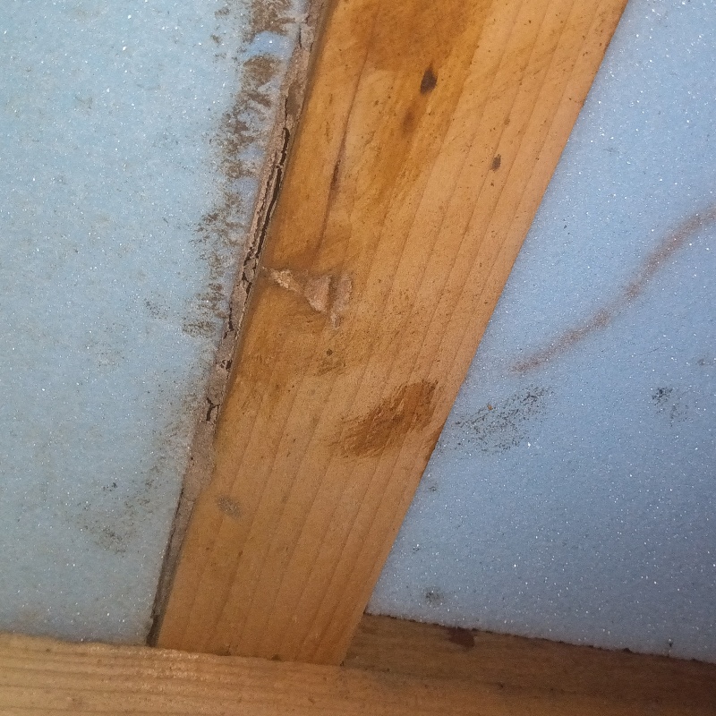 築年数30年のシロアリ駆除の施工事例（埼玉県北本市宮内）