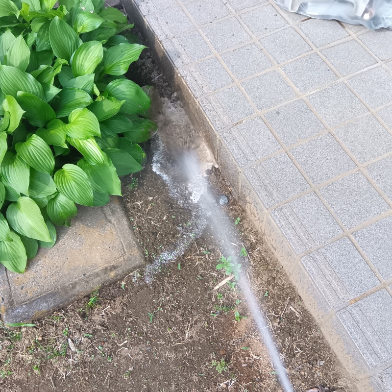 敷地内の地面にシロアリ駆除剤を散布