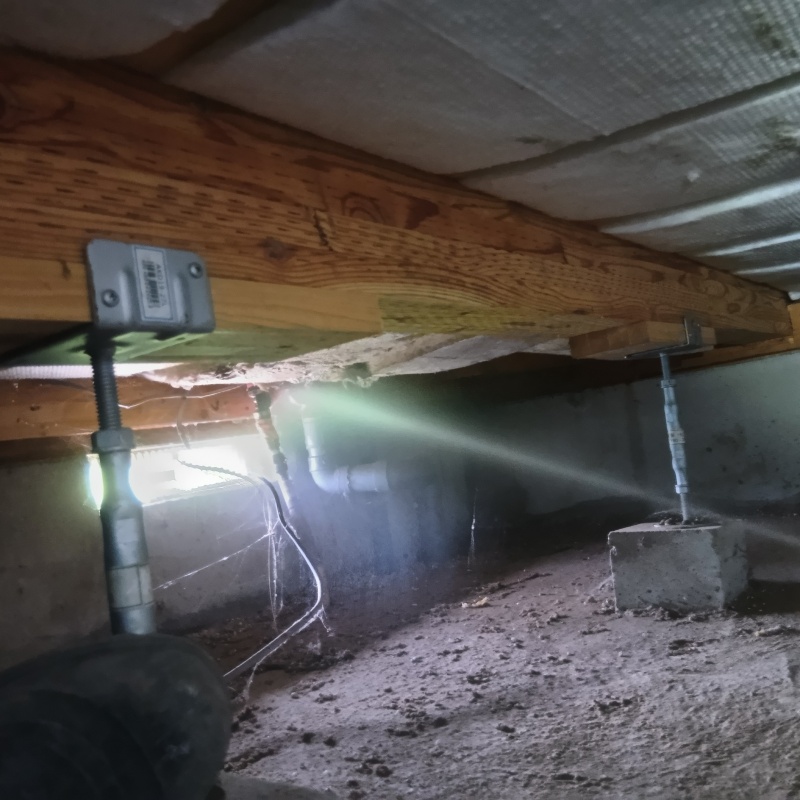 床下の木部にシロアリ駆除剤を散布