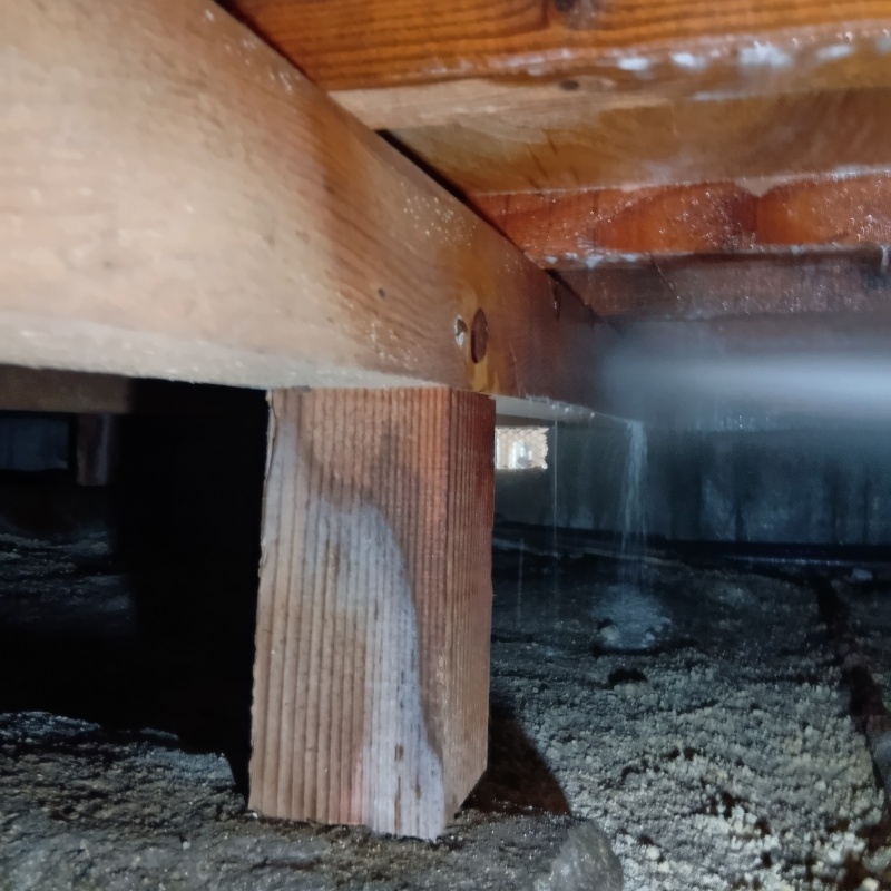 築年数55年のシロアリ予防の施工事例（香川県高松市花ノ宮町）