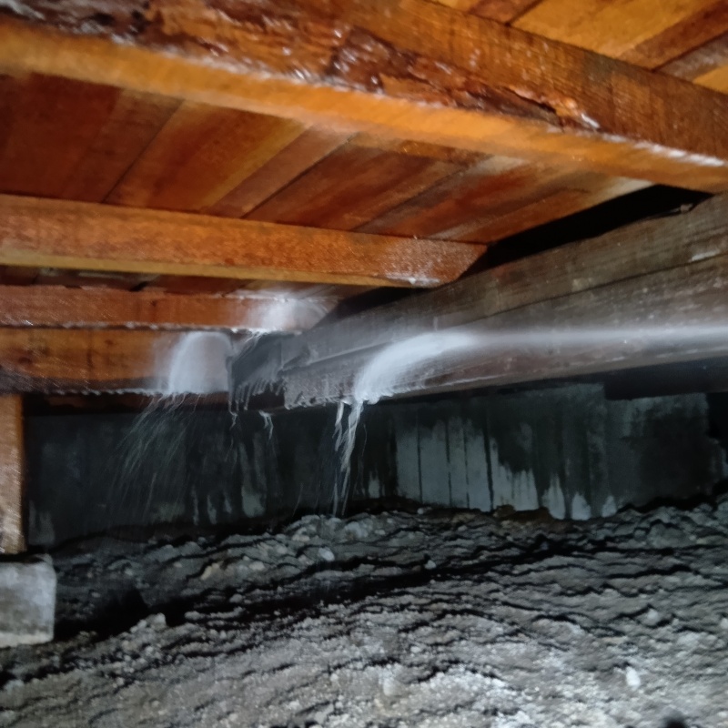 床下の木部に防蟻剤を散布